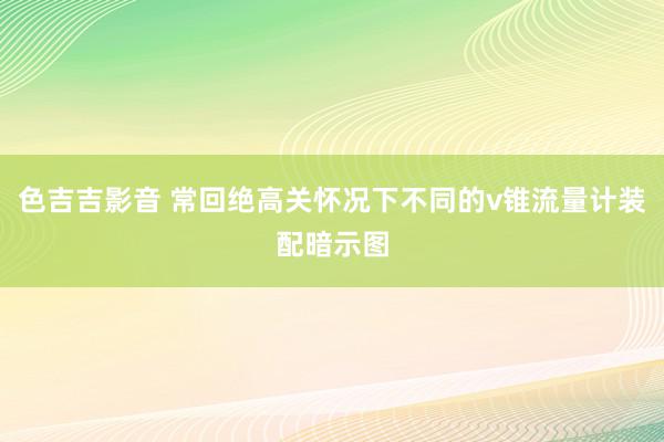 色吉吉影音 常回绝高关怀况下不同的v锥流量计装配暗示图