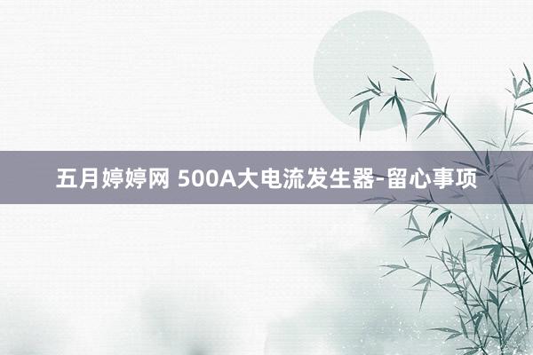 五月婷婷网 500A大电流发生器-留心事项