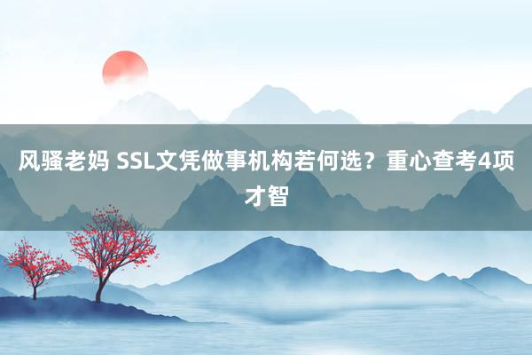 风骚老妈 SSL文凭做事机构若何选？重心查考4项才智