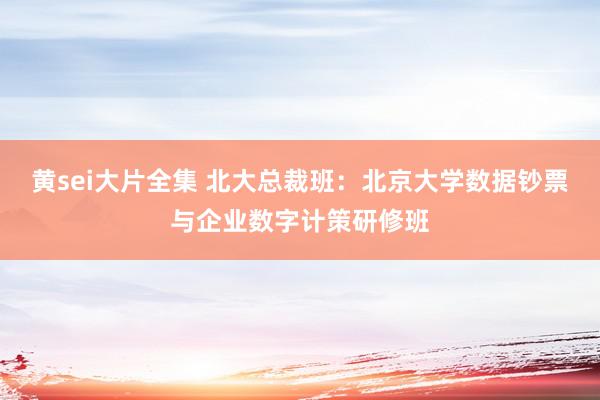 黄sei大片全集 北大总裁班：北京大学数据钞票与企业数字计策研修班