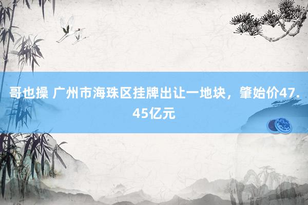 哥也操 广州市海珠区挂牌出让一地块，肇始价47.45亿元