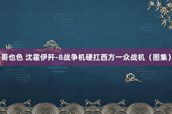 哥也色 沈霍伊歼-8战争机硬扛西方一众战机（图集）