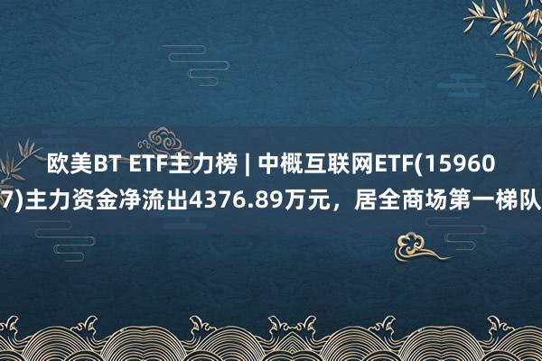 欧美BT ETF主力榜 | 中概互联网ETF(159607)主力资金净流出4376.89万元，居全商场第一梯队