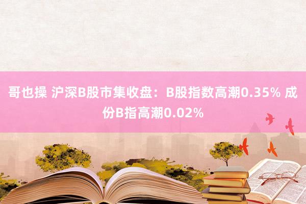 哥也操 沪深B股市集收盘：B股指数高潮0.35% 成份B指高潮0.02%