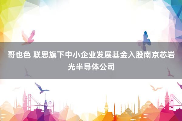 哥也色 联思旗下中小企业发展基金入股南京芯岩光半导体公司