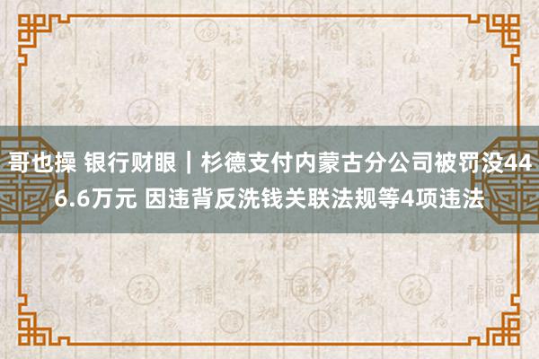 哥也操 银行财眼｜杉德支付内蒙古分公司被罚没446.6万元 因违背反洗钱关联法规等4项违法