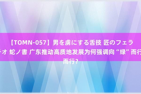 【TOMN-057】男を虜にする舌技 匠のフェラチオ 蛇ノ書 广东推动高质地发展为何强调向“绿”而行？