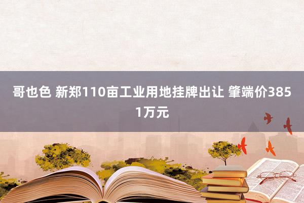 哥也色 新郑110亩工业用地挂牌出让 肇端价3851万元