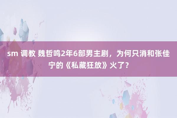 sm 调教 魏哲鸣2年6部男主剧，为何只消和张佳宁的《私藏狂放》火了？