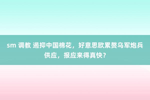 sm 调教 遏抑中国棉花，好意思欧累赘乌军炮兵供应，报应来得真快？