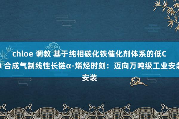 chloe 调教 基于纯相碳化铁催化剂体系的低CO 合成气制线性长链α-烯烃时刻：迈向万吨级工业安装